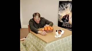 Mads Mikkelsen feeding orange to a toy cat