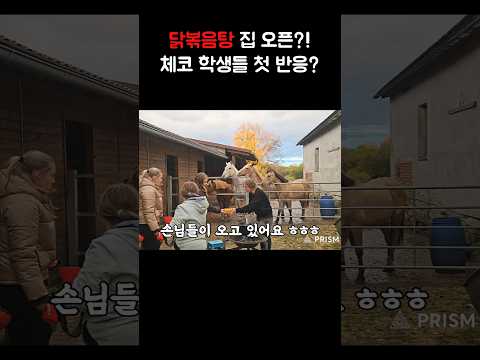 닭볶음탕 집 오픈?! 체코 학생들 첫 반응?! #shorts