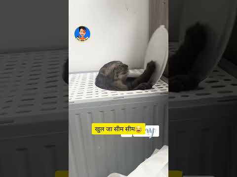 Khul Ja Sim Sim || Sab LOol Hai #funny #sabloolhai