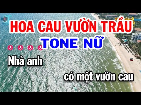 Karaoke Hoa Cau Vườn Trầu Tone Nữ ( F#m ) Nhạc Sống Tuấn Kiệt