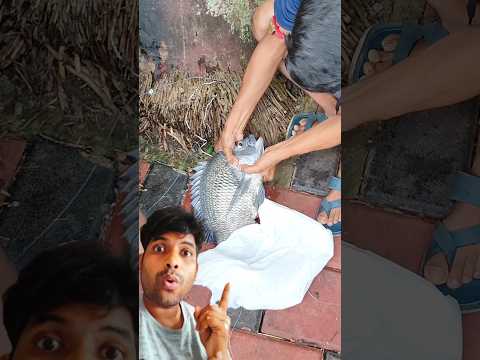 Mera dost ne kar dikhaya 🤯 #shorts #vlog #fishing