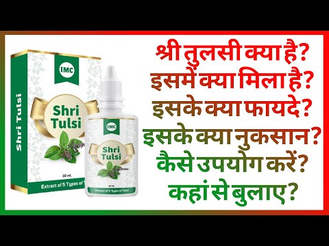 IMC Shri Tulsi (श्री तुलसी) Full Information in Hindi 2025 | 200+ बीमारी में रामबाण