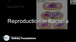 Reproduction in Bacteria
