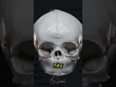 Tại Sao Đầu Của Trẻ Sơ Sinh Lại Mỏng Manh Đến Vậy? 😳