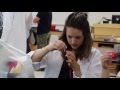 Biotechnology Camp Learning and Benefits