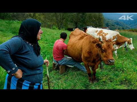 Unutulmuş Cennet - Mezrada Yaşam | Belgesel Film