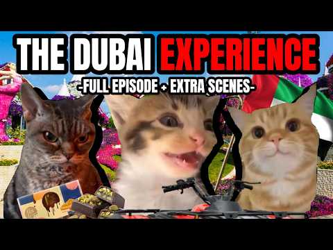 CAT MEMES: WELCOME TO DUBAI!!! | FAMILY VACATION SERIES