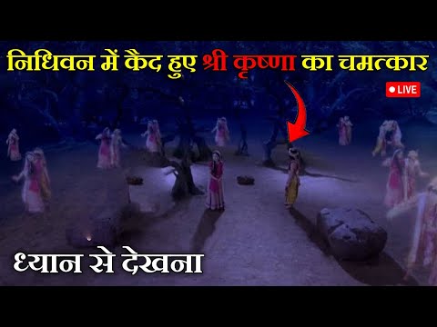 जन्माष्टमी की रात निधिवन में हुआ अद्भुत चमत्कार | Nidhivan Vrindavan at Night CCTV Video 😱