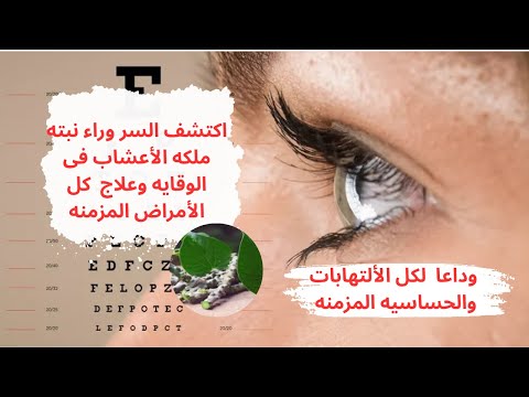 الوقايه والعلاج من كل الأمراض المزمنه بعشبه ملكه الأعشاب