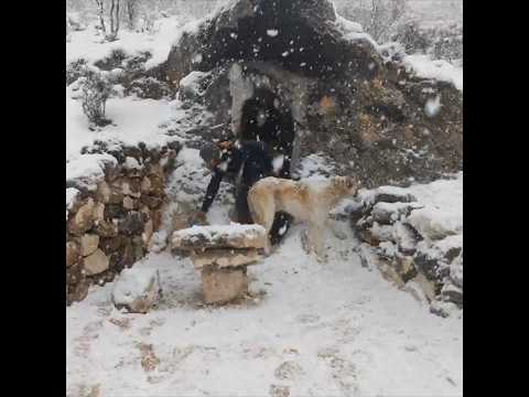 Primitive Cave Making With Fire and Hand Tools Like Our Ancestors, Minecraft, Treasure Hunter, DIY