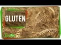 Understanding Gluten and Its Impact