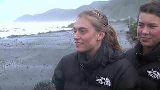 YouTube video thumbnail: Strong Winds and Rough Seas Disrupt Transport in Wellington