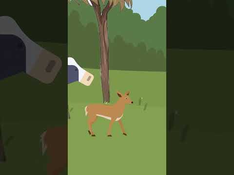 Gauri Ki Mamta | One Minute Story | Cartoon | #cartoonanimal