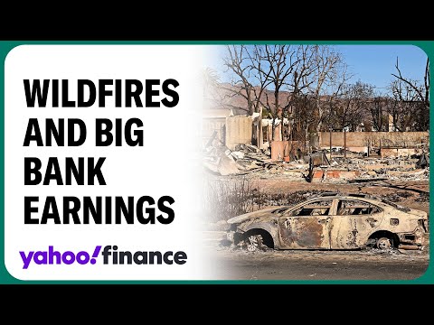 How the LA wildfires may hit Big Bank earnings in 2025