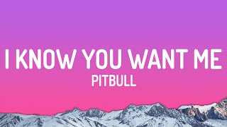 Pitbull - I Know You Want Me (Calle Ocho)