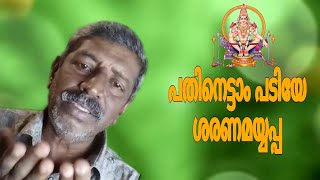 പതിനെട്ടാം പടിയേ ശരണമയ്യപ്പ🙏🏻
