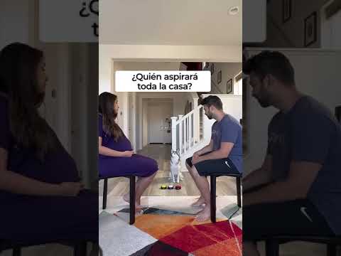 Sapphie la pomsky asigna tareas a sus padres (parte 2)
