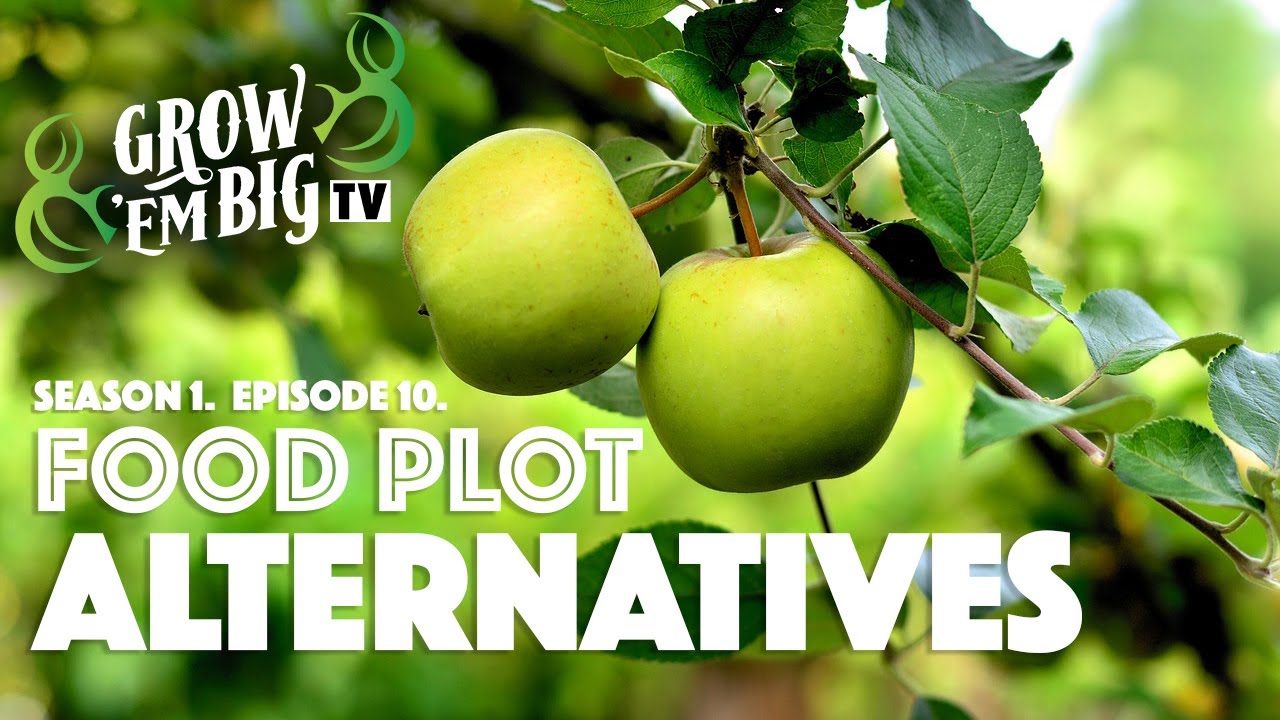 Food Plot Alternatives | Grow ’em Big TV