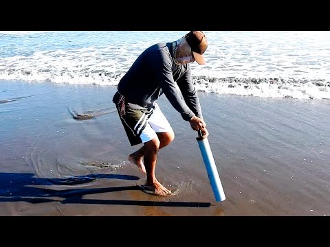 El Pescador saca Carnada de la Playa, lo Prepara en el Anzuelo y logra Capturas Épicas