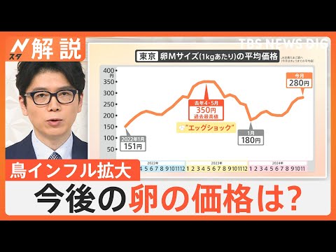 「いまの価格帯は正直言って異常」卵の高騰“エッグショック”懸念、鳥インフル拡大 過去最悪の年に匹敵【Nスタ解説】｜TBS NEWS DIG