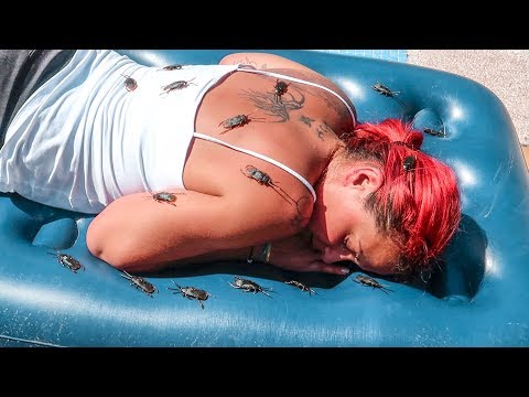 LE TIRO 30 CUCARACHAS A PATTY MIENTRAS DUERME!! *ELLA LAS ODIA*