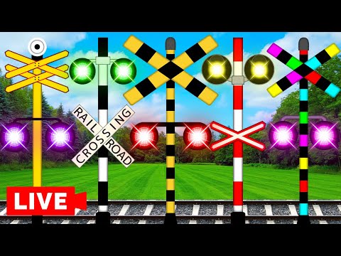 【 踏切アニメ 】 LIVE 踏切カンカン ふみきり railroad crossing 202506221