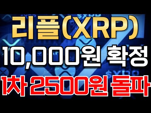 리플 10,000원 확정 ! 비트코인 리플코인 도지코인  2차 상승 전 여기까지 떨어진다.