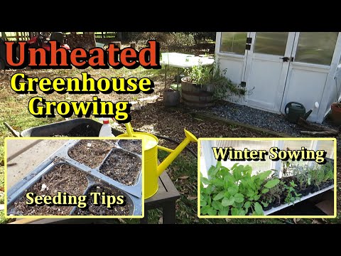 Growing Plants in an Unheated Greenhouse (Winter - Start With Perennial Flowers & Herbs Ep-1)