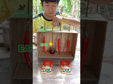 Trò chơi ăn trái cây để nhận thưởng vui nhộn | Play fun game #shorts