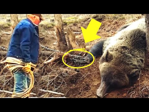 Bear Cries for Help – Man’s Heart Stops When He Discovers Why