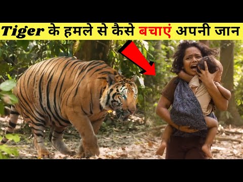 Tiger के हमले से कैसे बचाएं अपनी जान || How to survive a Tiger Attack || #shorts #attack #tiger