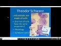 Cell Biology Concepts and Functions