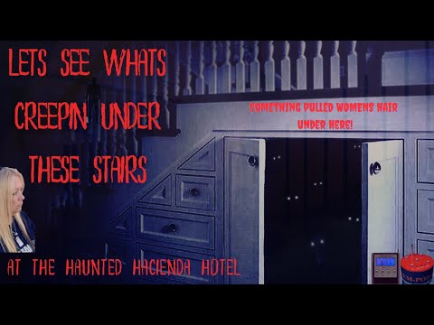 Let See What's Creeping Under These Stairs 👀  #ghost #paranormal #scary #creepy #haunted #evp