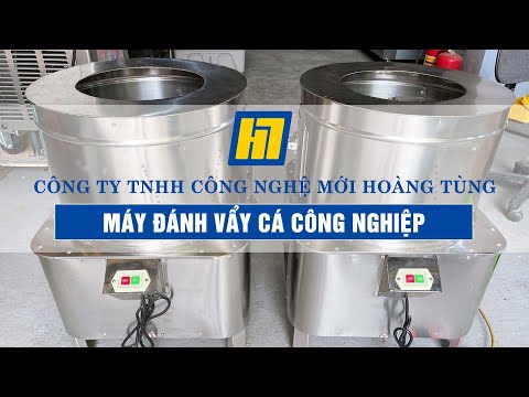 Máy Đánh Vảy Cá QYL-18