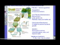 Water Treatment and Pollution Effects