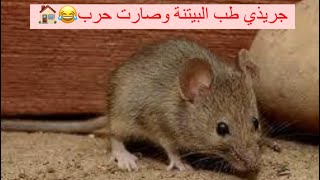 جريدي طب البيتنة 🏠 وصارت حرب😂شوفو شصار