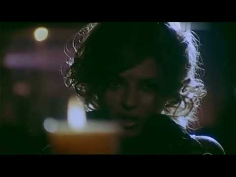 Punga cu libelule (1981)