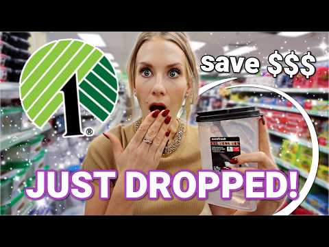 Dollar Tree *JUST DROPPED* True Money Savers ✨100% NEW!