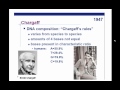 DNA Structure and Function Concepts