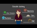 Food Safety Practices for Handlers