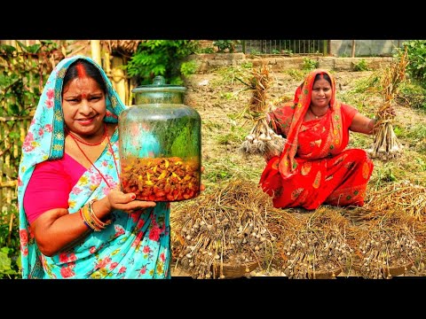 लहसुन का जबरदस्त अचार  दो रोटी की जगह चार रोटी खाओगे  इतनी टेस्टी है | Garlic pickle Lehsun ka achar