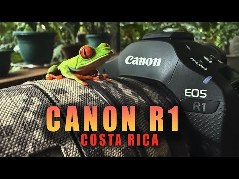 Canon R1 - Wildlife Video First Look - Costa Rica Rainforest