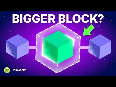 Bitcoin Block Size Debate - Why It Sparked a Crypto War...