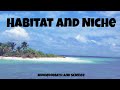 Understanding Habitat and Niche
