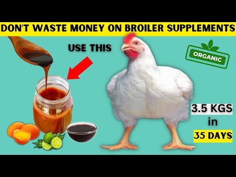 MY NO.1 BEST ORGANIC BROILER GROWTH PROMOTER & SUPPLEMENT | DON'T WASTE MONEY ON BUYING SUPPLEMENTS