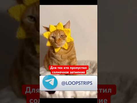Это лучшее затмение солнца в моей жизни