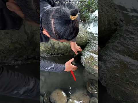 That Bro Thinks He Is Jenius😂❤️ #shorts