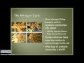 Environmental Cycles and Processes