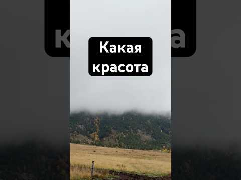 Радость глаз 😍 Неописуемая красота💖 #влог #семья #природа #красота #отдых