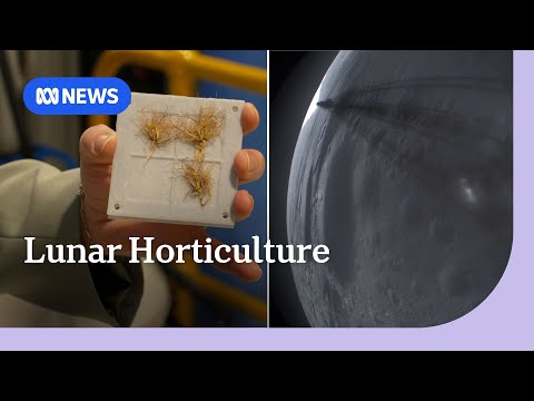 YouTube video thumbnail: These Australian Scientists Are Trying to Grow Plants on the Moon